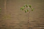 DSC_0034(001)