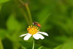 IMG_0625-25