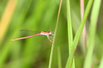 IMG_0632-32