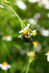 IMG_0639-39