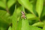 IMG_0653-53