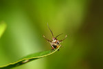 IMG_0698-98