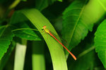 IMG_0759-59