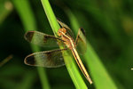 IMG_0768-68