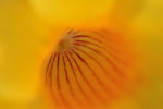 IMG_5300-00a