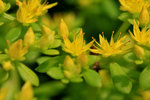IMG_5313-13a