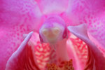 IMG_5317-17