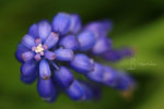 IMG_5369-69