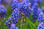 IMG_5441-41