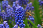 IMG_5454-54a