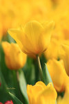 IMG_5539-39