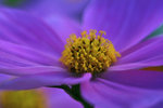 IMG_5671-71