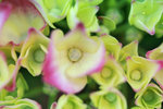 IMG_5704-04