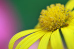 IMG_5719-19