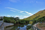 IMG_2901-01