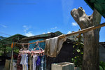 IMG_2978-78