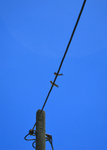 IMG_3007-07