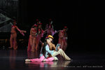 IMG_6253-53