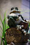 IMG_2254-54