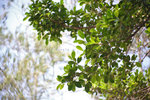 IMG_2276-76