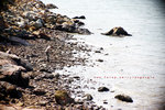 IMG_2306-06