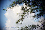 IMG_2322-22