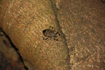 IMG_2349-49