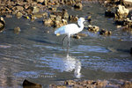 IMG_2356-56