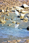 IMG_2359-59