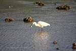 IMG_2420-20