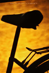 IMG_2461-61
