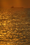 IMG_2469-69