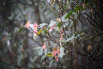 IMG_8942