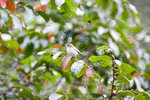 IMG_9100
