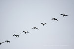 IMG_0229