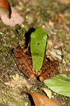 IMG_5790
