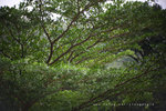 IMG_7917