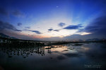 IMG_9146-46