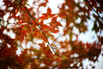 IMG_1906