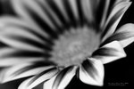 IMG_6620-20