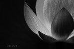 IMG_8147-47