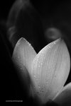 IMG_8151-51