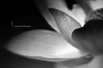IMG_8197-97