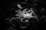 IMG_8205-05