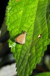 IMG_8360