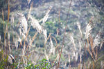 IMG_4688