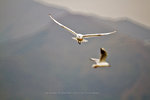 IMG_5240