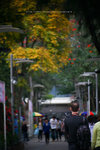 IMG_6590