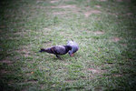 IMG_6622