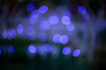 IMG_6630